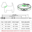 Safe Leather Dog Collar with ID Tag