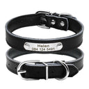 Safe Leather Dog Collar with ID Tag