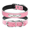 Safe Leather Dog Collar with ID Tag