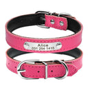 Safe Leather Dog Collar with ID Tag