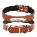 Safe Leather Dog Collar with ID Tag