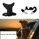 Breathable Dog Harness for Safe Walks