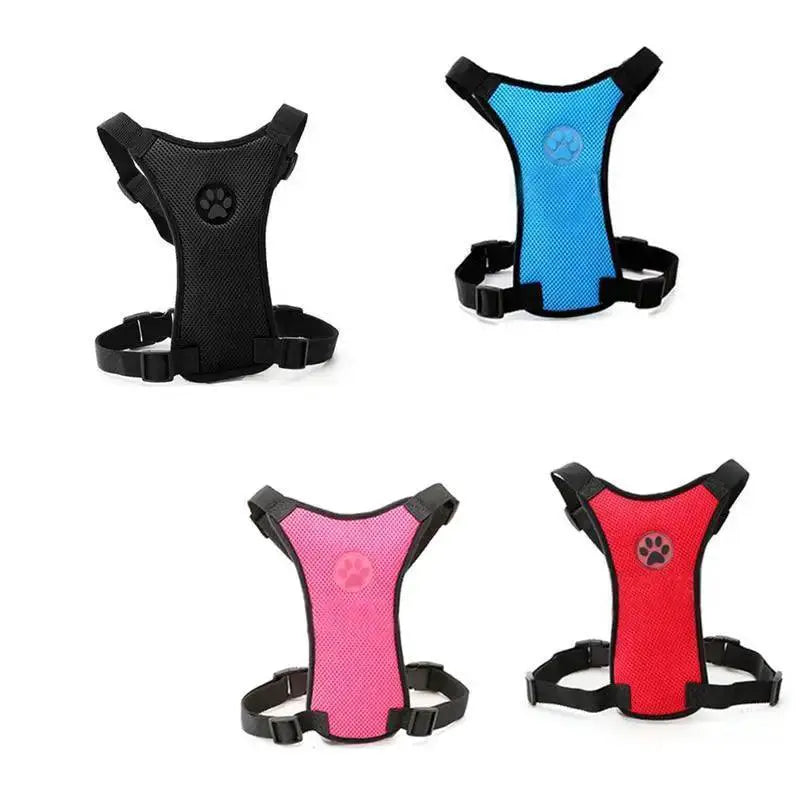 Breathable Mesh Dog Harness Set For Safety And Comfort