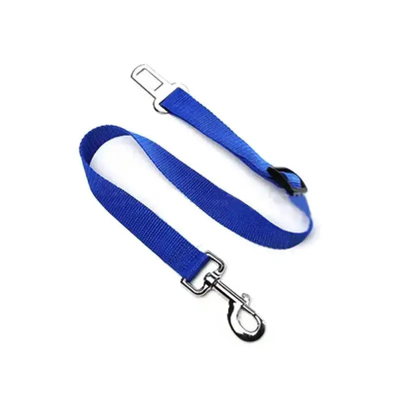 Breathable Mesh Dog Harness Set For Safety And Comfort