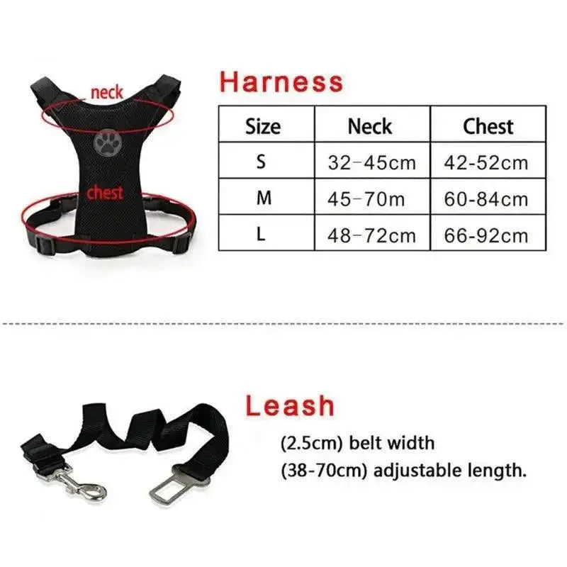 Breathable Mesh Dog Harness Set For Safety And Comfort