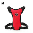 Breathable Mesh Dog Harness Set For Safety And Comfort
