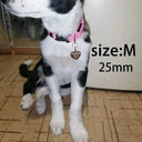 Engraved Pet Necklace Custom Cat And Dog ID Tag Pendant