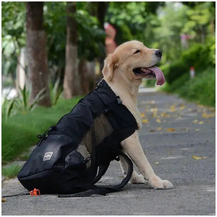 PawTrail Pet Carrier Backpack Ventilated Outdoor Comfort