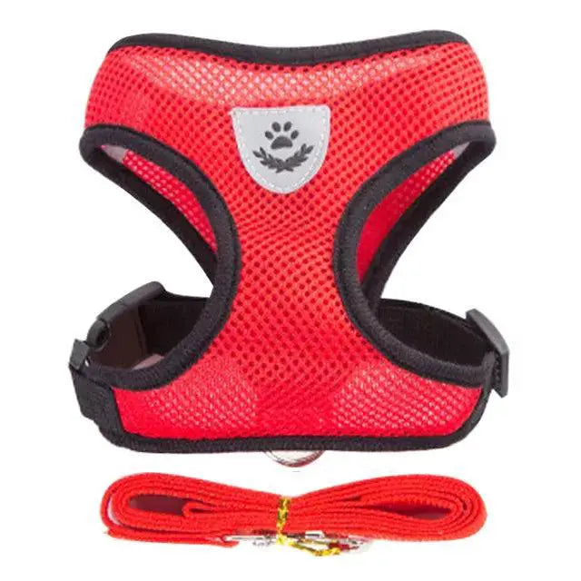 Reflective Dog Harness for Small Dogs — product view 8