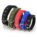 Comfortable Dog Collar for Daily Walks
