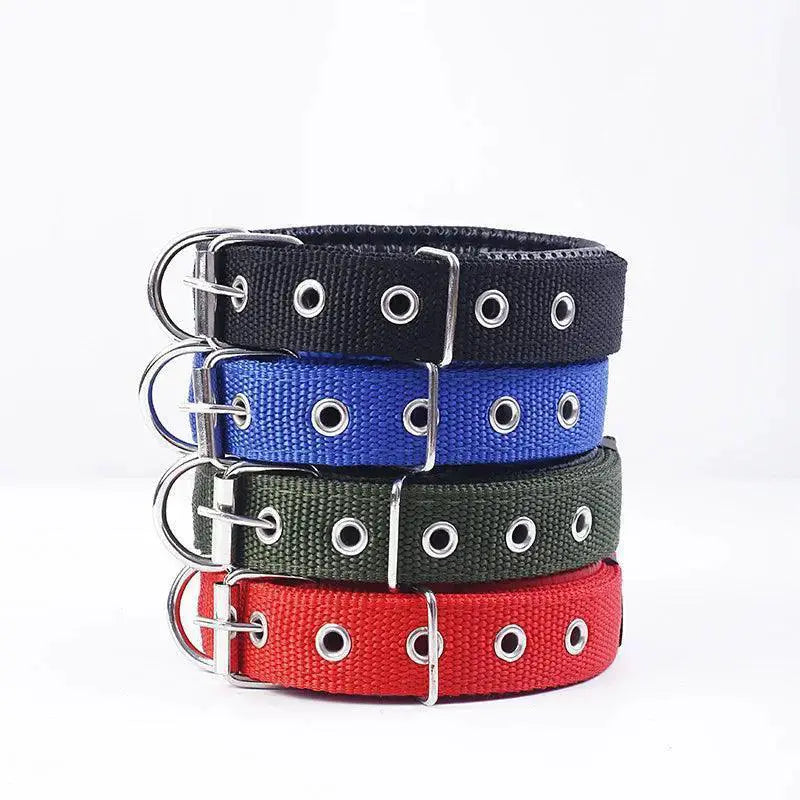Foam Padded Pet Collar Adjustable Stylish Neckband