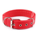 Comfortable Dog Collar for Daily Walks