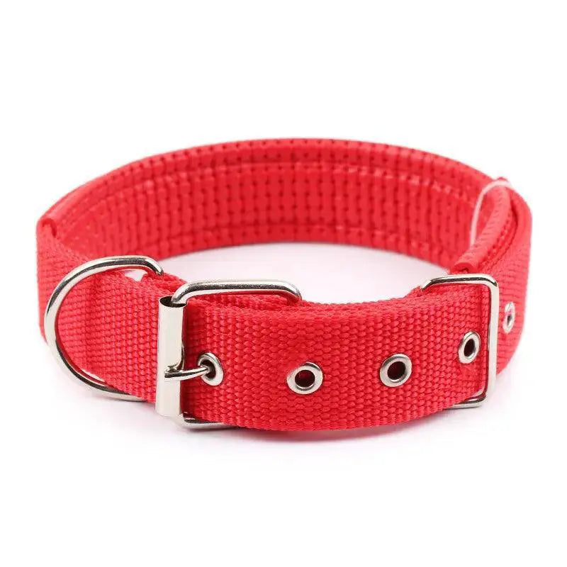 Foam Padded Pet Collar Adjustable Stylish Neckband