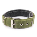 Comfortable Dog Collar for Daily Walks