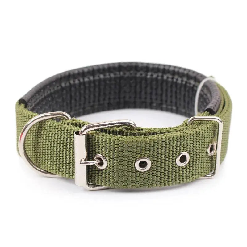 Foam Padded Pet Collar Adjustable Stylish Neckband