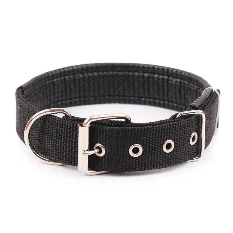 Foam Padded Pet Collar Adjustable Stylish Neckband
