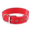 Foam Padded Pet Collar Adjustable Stylish Neckband