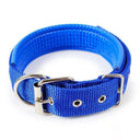Foam Padded Pet Collar Adjustable Stylish Neckband