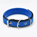 Foam Padded Pet Collar Adjustable Stylish Neckband