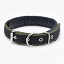 Foam Padded Pet Collar Adjustable Stylish Neckband