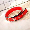 Foam Padded Pet Collar Adjustable Stylish Neckband