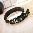 Foam Padded Pet Collar Adjustable Stylish Neckband