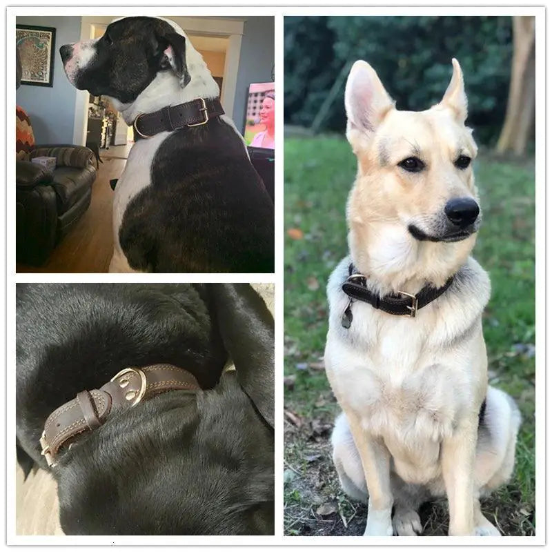 Benepaw Stylish Vintage Leather Dog Collar Durable Elegant