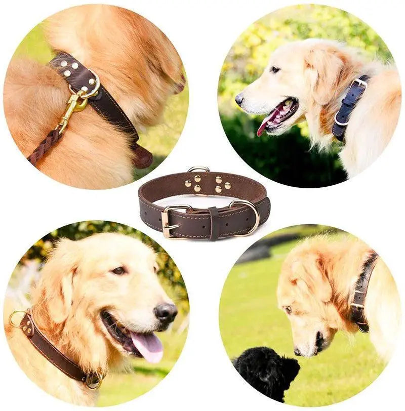 Benepaw Stylish Vintage Leather Dog Collar Durable Elegant