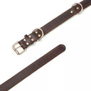 Benepaw Durable Leather Dog Collar Walks