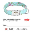 Safe ID Nylon Dog Tag Collar for Pets