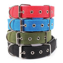 Breakaway Safe Dog Collar for All Breeds