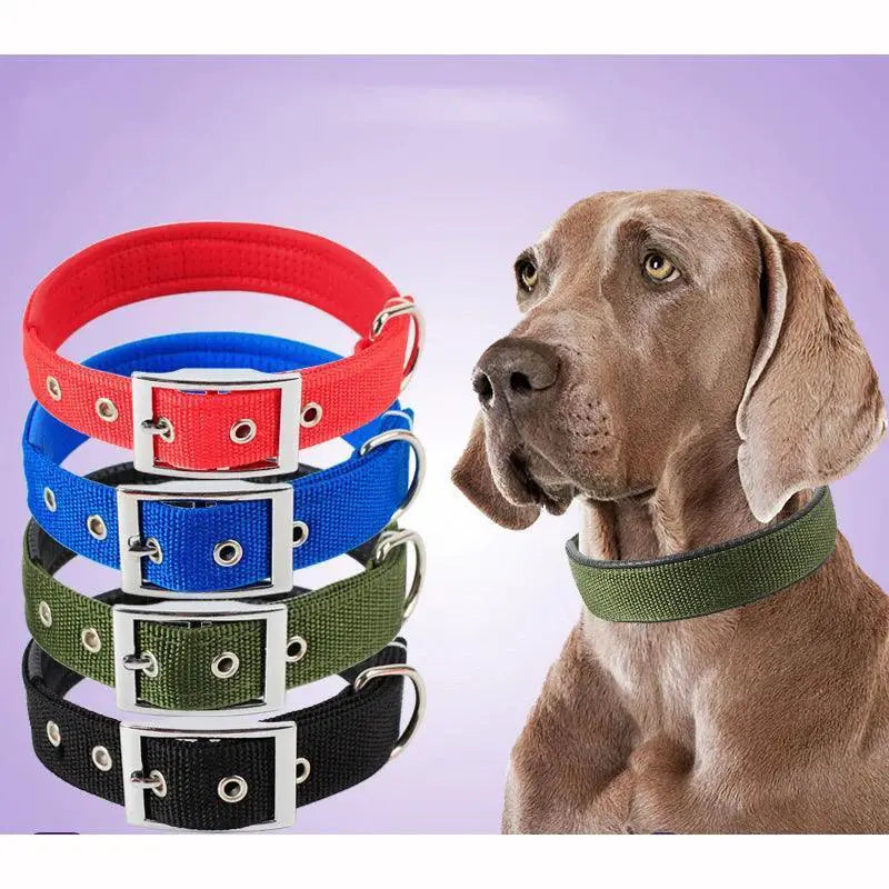 Stylish Adjustable Nylon Dog Collar For All Breeds