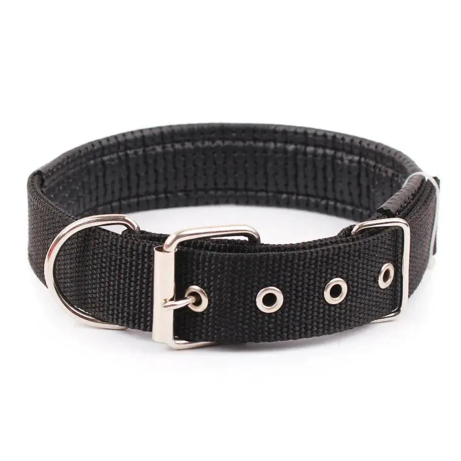 Stylish Adjustable Nylon Dog Collar For All Breeds