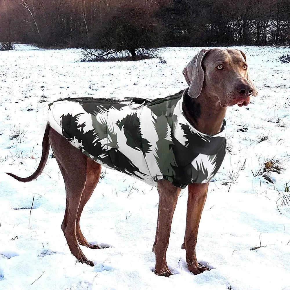French Bulldog Winter Jacket Coat Waterproof Dog Vest