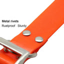 Weatherproof Pet Collar for Small Breeds