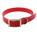 Weatherproof Pet Collar for Small Breeds