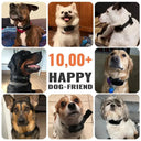 Calmer Bark Control Collar for Dogs