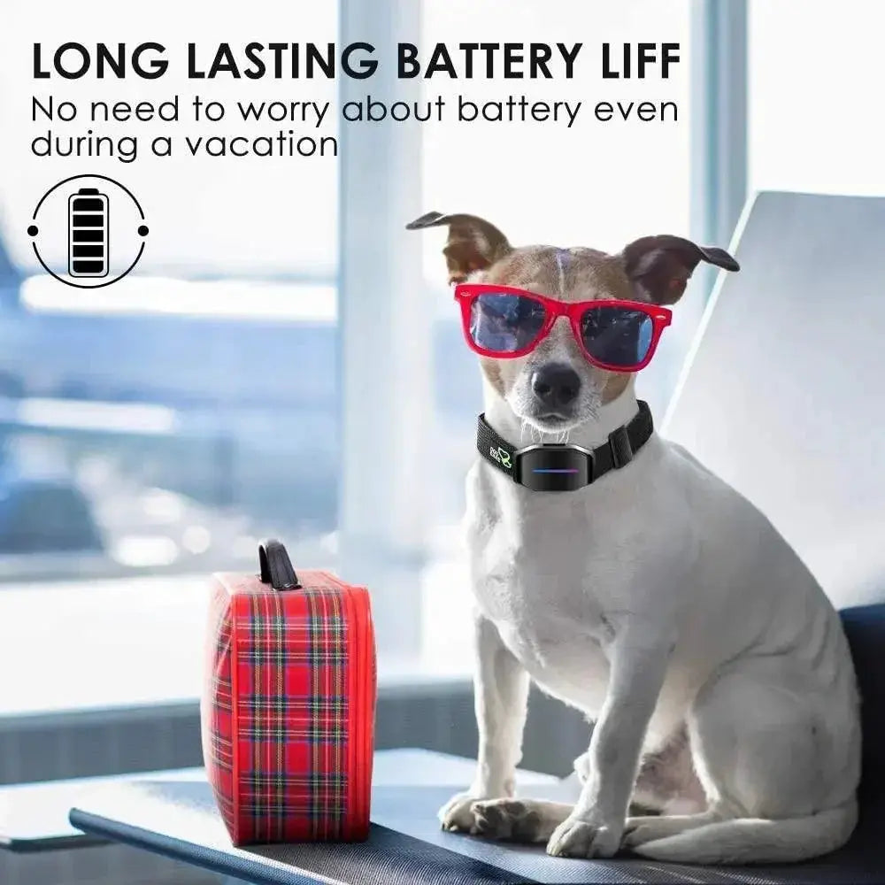 Smart Remote Dog Training Collar For Efficient Bark Control