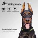 Dog Anti Bark Collar Adjustable Sensitivity For Training