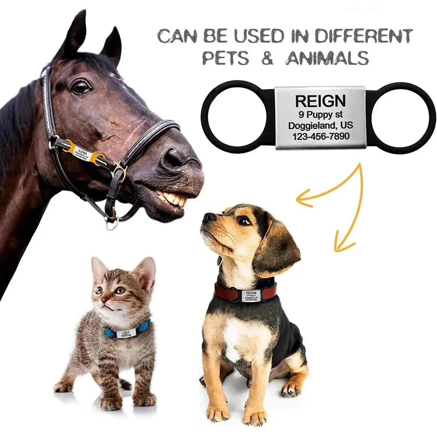 Slide On Custom Pet Tag Personalized ID Silent Engraved