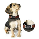 Silent Pet Tag For Quiet ID And Safety