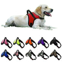 Reflective Pet Harness for Night Walks