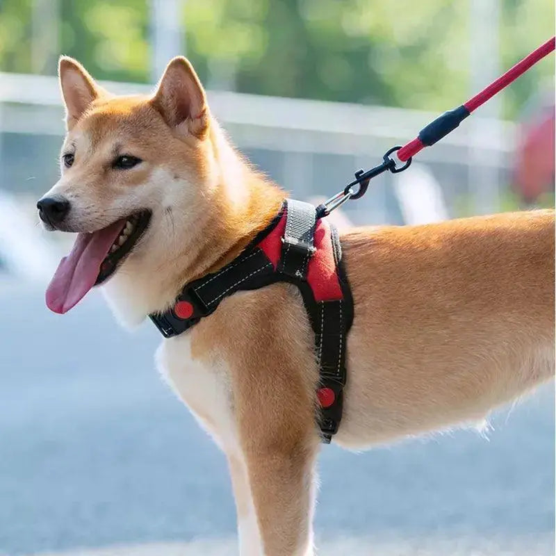 Adjustable Reflective Breathable Pet Harness With Leash