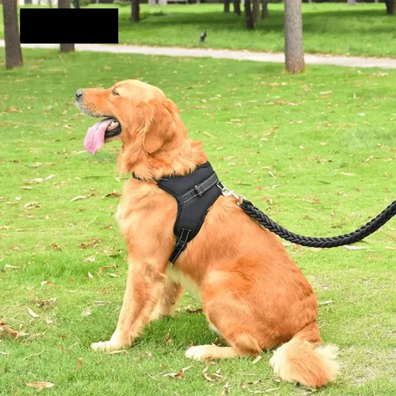 Adjustable Reflective Breathable Pet Harness With Leash