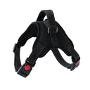 Reflective Pet Harness for Night Walks