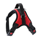 Reflective Pet Harness for Night Walks