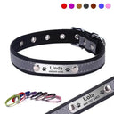 Reflective Dog Collar for Night Walks