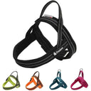 Night Visibility Dog Harness for Walks