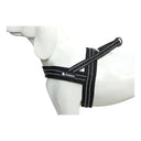 Night Visibility Dog Harness for Walks