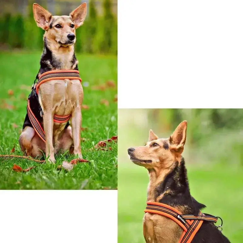 Truelove Soft Mesh Padded Dog Harness Night Visibility